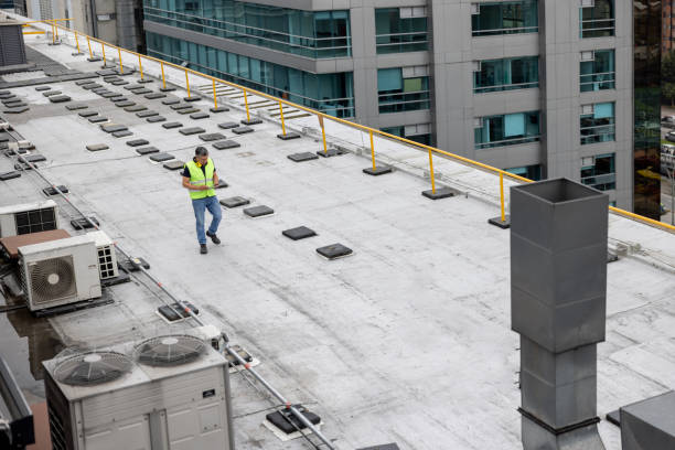 Best Roof Maintenance and Cleaning  in Fairmont City, IL